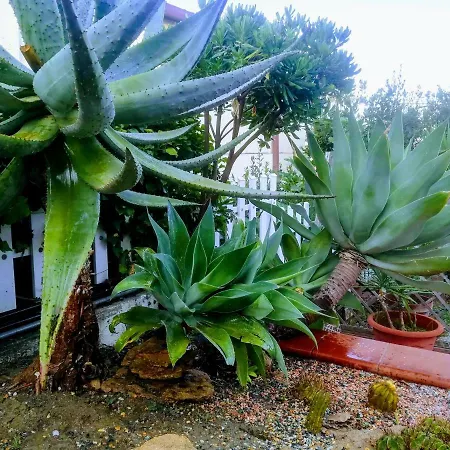 Couette-café Isabel 3*